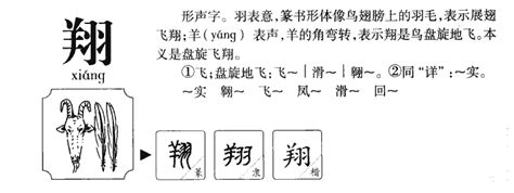 翔五行|翔的意思